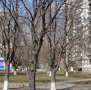 Lesia Kurbasa Avenue, 14, Kyiv: photo