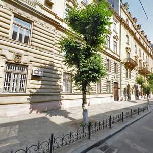 Vulytsia Sichovykh Striltsiv, 16, Lviv: photo