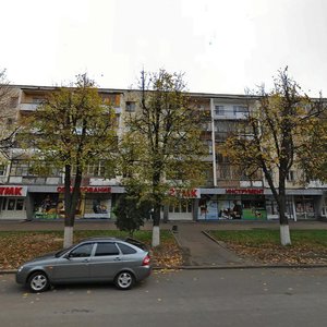 Gagarina Avenue, 13, : foto