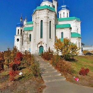 Mytropolyta Volodymyra Sabodana Street, 2В, Kyiv: photo