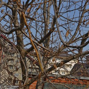Surikova Street, 60Б, : foto