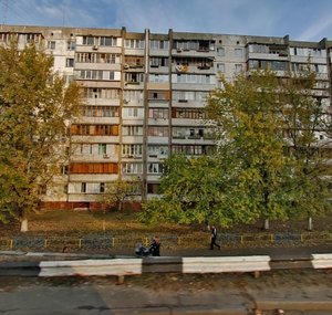 Heroiv Stalinhrada Avenue, 48 ، كييف: صورة