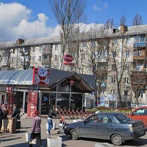 Druzhby Narodiv Boulevard, 25 ، كييف: صورة