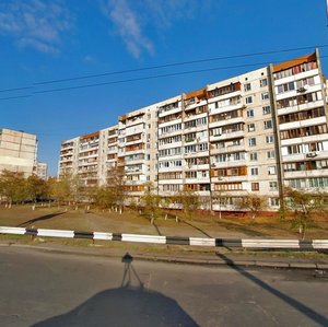 Heroiv Dnipra Street, 73, Kyiv: photo