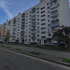 Saliutna Street, 4А, Kyiv: photo