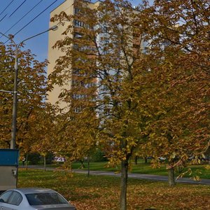 Pliahanava Street, 66, Minsk: photo