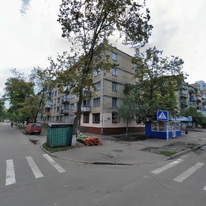 Sanatorna Street, 16/52, Kyiv: photo