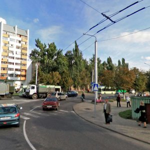 Гомель, Улица Чкалова, 110: фото