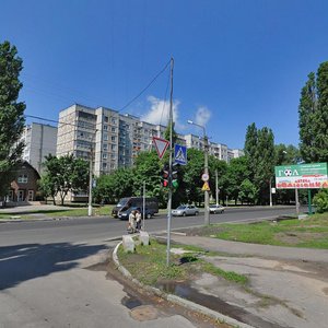 Lesi Ukrainky avenue, 78/19, Kremenchuk: photo