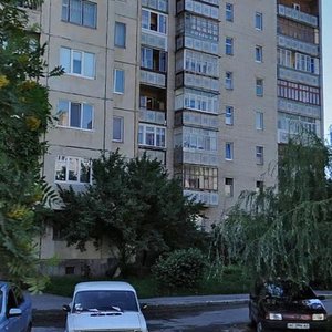 Vulytsia Kravchuka, 22В, Lutsk: photo