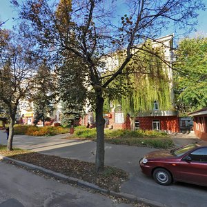 Vulytsia Hetmana Polubotka, 20 ، : صورة
