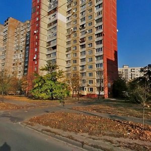 Raiduzhna Street, 5, Kyiv: photo