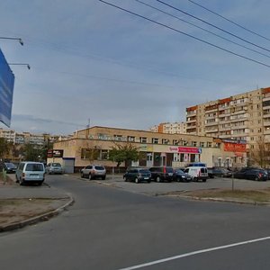 Heroiv Dnipra Street, 67, : foto