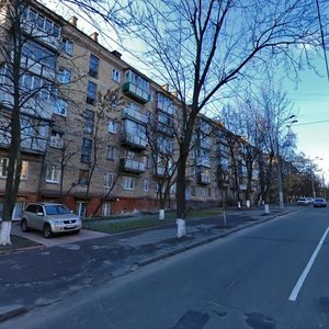 Oleha Olzhycha Street, 13, Kyiv: photo