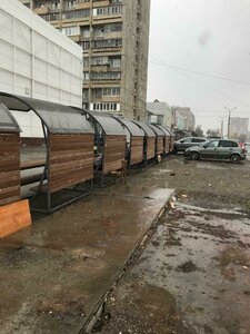 Магнитогорск, Улица Труда, 20: фото