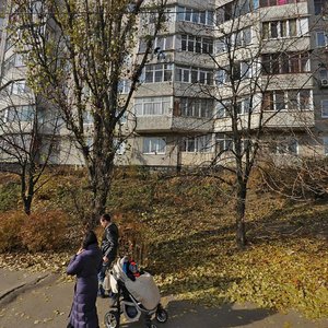 Vulytsia Viacheslava Chornovola, 9, : foto