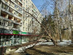 Tereshkovoy Street, 12, Novosibirsk: photo