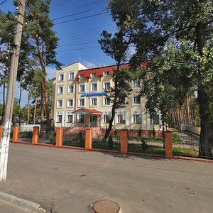 Severynivska vulytsia, 120А, Irpin: photo