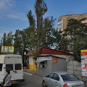 Vulytsia Antonova, 8Б, : foto
