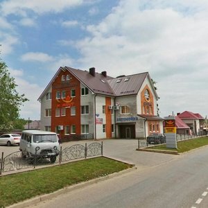 Ulitsa Gagarina, 171/3, Mikhaylovsk: photo