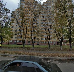 Trostianetska Street, 49, Kyiv: photo