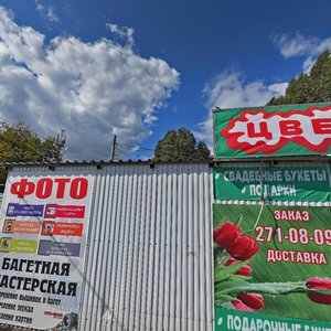 Tashkentskaya Street, 121Ж, Samara: photo