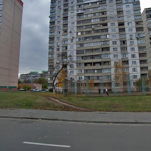 Avtozavodska Street, 67, Kyiv: photo