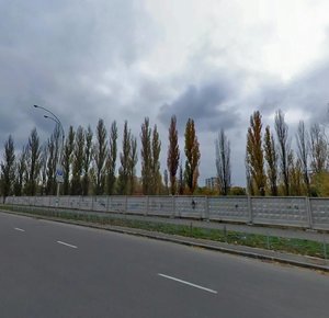 Akademika Viliamsa Street, 19/14 ، كييف: صورة