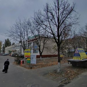 Volodymyra Sosiury Street, 5, : foto