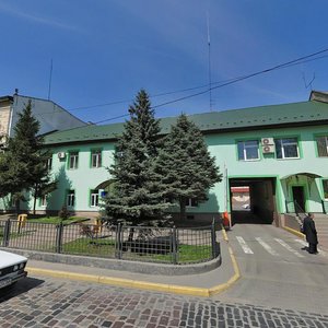 Horodotska vulytsia, 124, Lviv: photo