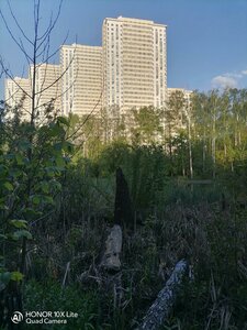 Pogonniy Drive, вл1 ، موسكو: صورة
