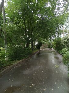 Venyovskaya Street, 29 ، موسكو: صورة
