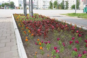 Neftyanikov Street, No:14, Megion: Fotoğraflar