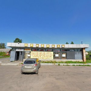 Kollektivnaya ulitsa, 76, Tosno: photo