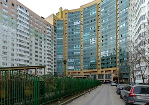 Kosmonavtov Avenue, 65к6 ، سان بطرسبرغ: صورة
