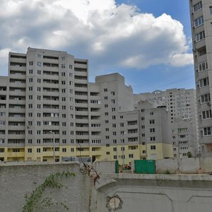 Воронеж, Улица Владимира Невского, 25/4: фото