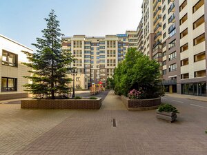 Serzhanta Koloskova Street, 8 ، : صورة