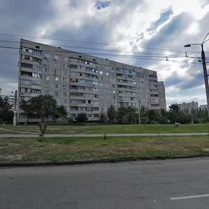 Vulytsia Hvardiitsiv-Shyronintsiv, 102, Kharkiv: photo