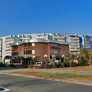 Volodymyra Maiakovskoho Avenue, No:11/2, Kiev: Fotoğraflar