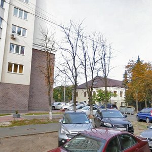 Vavylovykh Street, 17, Kyiv: photo