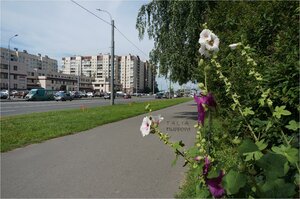 Shlisselburgskiy Avenue, 5к1, Saint Petersburg: photo