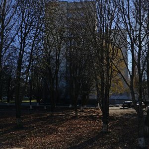 Dovatortsev Street, 47/1 ، : صورة