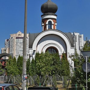 Mykhaila Hryshka Street, 1, Kyiv: photo