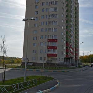 Нижний Новгород, Улица Академика Сахарова, 117: фото