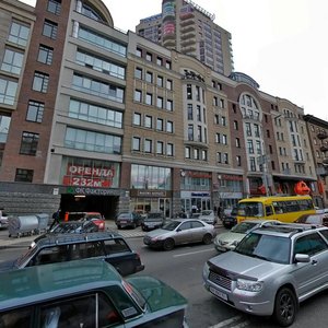 Saksahanskoho Street, 120, Kyiv: photo