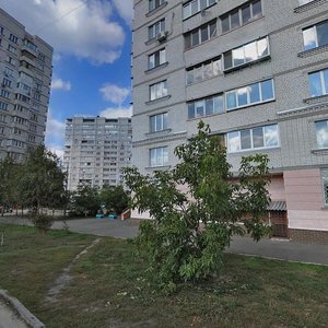 Akademika Bulakhovskoho Street, 5В ، كييف: صورة