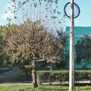 Lenina Avenue, 15к2, : foto