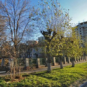 Shevchenko Street, 55, Ryazan: photo