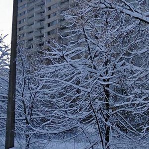 Serzhanta Lazarieva Street, 1/14, Pripyat: photo