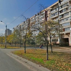 Mykoly Zakrevskoho Street, 49, Kyiv: photo